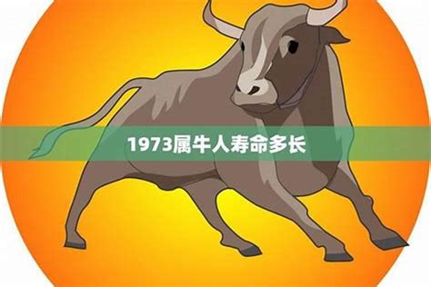 属牛1973|73年属牛五行属什么命 73年属牛的什么命